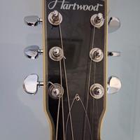 chitarra semiacustica Hartwood revival