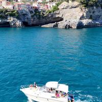 Cranchi Zaffiro 32 t-top