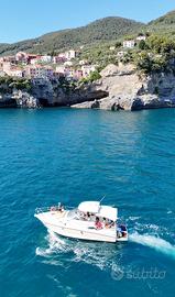 Cranchi Zaffiro 32 t-top