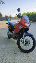 Honda Transalp 650 anno 05'