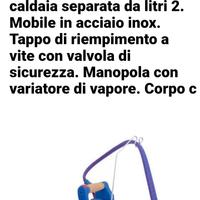 ferro da stiro professionale