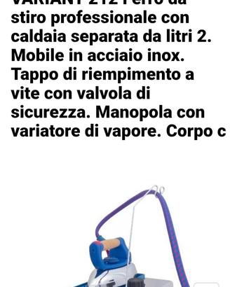 ferro da stiro professionale