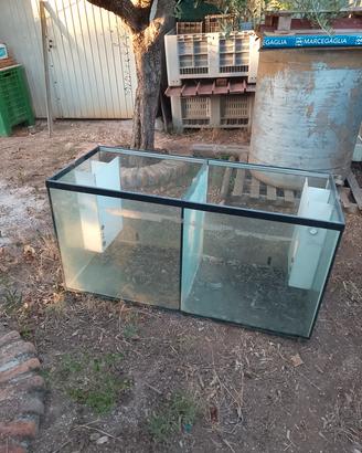 acquario 350 litri 