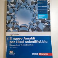 Il nuovo Amaldi per i licei scientifici.blu 1
