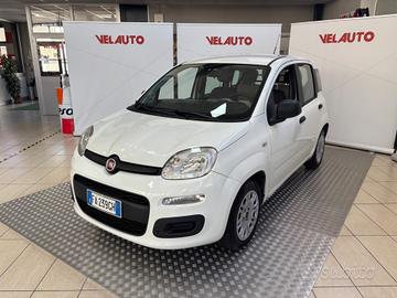 Fiat Panda 1.2 Easy Van 4 posti