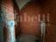 Immagine 12