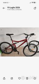 Mountain bike