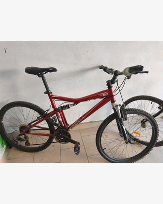 Mountain bike