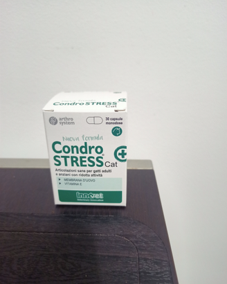 Condrostress gatto