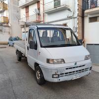 ducato cassonato 