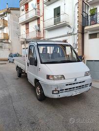 ducato cassonato 