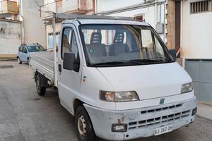 ducato cassonato 