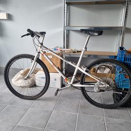 Bici da uomo