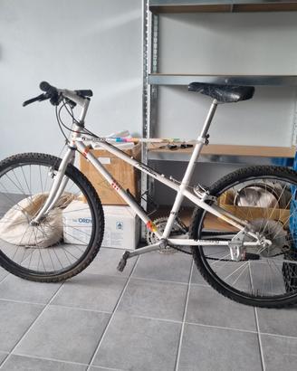 Bici da uomo