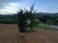 Immagine 16