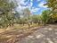 Immagine 26