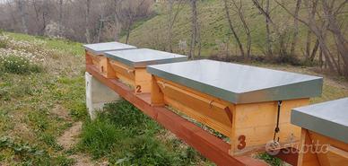 Famiglia Api su Telaini TOP BAR