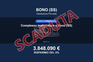 Immobile in asta di 8873 m² con più di 5 locali a 