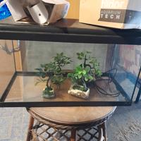 acquario piu accessori