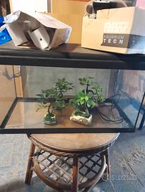 acquario piu accessori