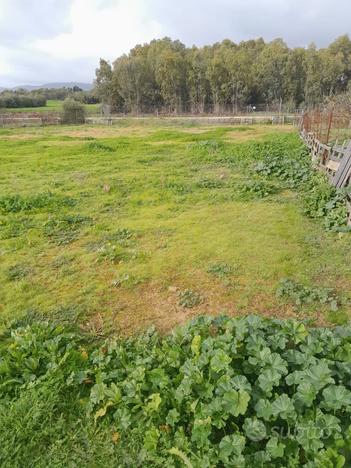 Terreno agricolo 5000 mq