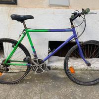 Bicicletta mtb
