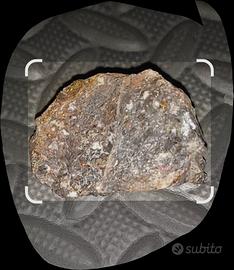 Micascisto
