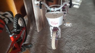 biciclette 