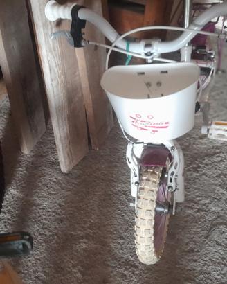 biciclette 