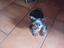 Immagine 2