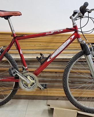 mountain bike