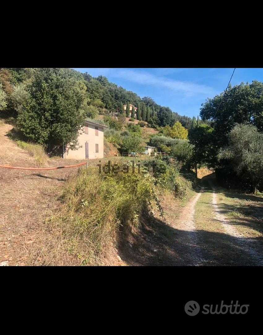 Casa/terreno - Terreni e rustici In vendita a Lucca
