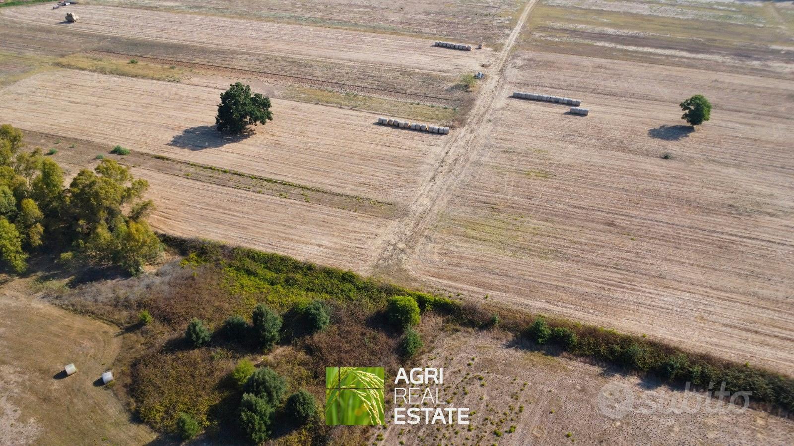 Terreno agricolo 4 ettari fronte strada con pozzo - Vista 3