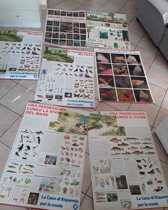 7 cartelloni pannelli didattici vintage