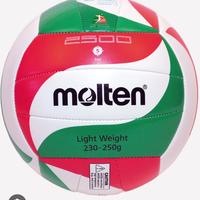 Pallone pallavolo molten