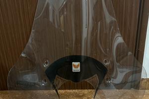 Lastra Parabrezza Isotta sh 300