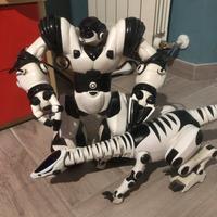 Robosapien, Roboraptor wowwee, robo elettronici