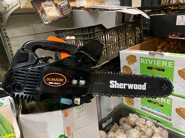 motosega da potatura Pro Green PG 2500