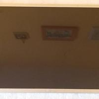 Pannello LCD compatibile Dell Latitude E5430