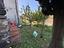 Immagine 27