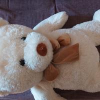 Peluche Orso Bianco 🐻