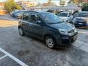 fiat-panda-0-9-twinair-turbo-s-s-pandazzurri-gpl-2