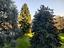 Immagine 23