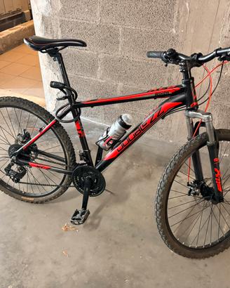 Bicicletta mountan bike