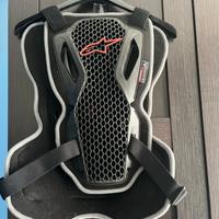 Paraschiema