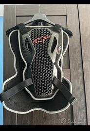 Paraschiema