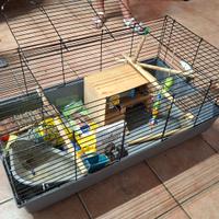 Gabbia con accessori  50x100cm