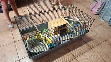 Gabbia con accessori  50x100cm