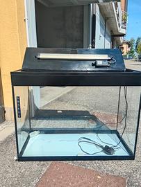 acquario 