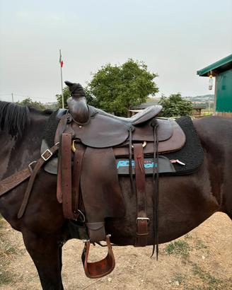 Sella roping simco